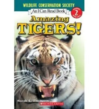 Amazing Tigers! book cover
