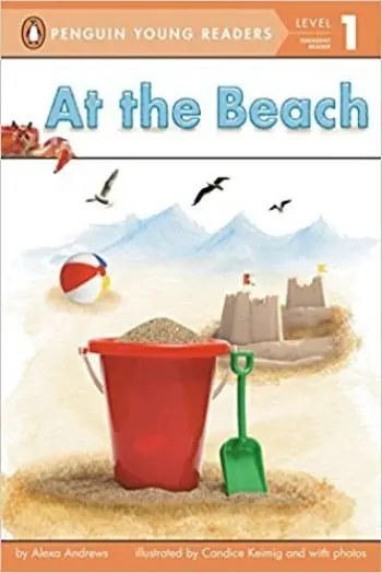 At the Beach book cover