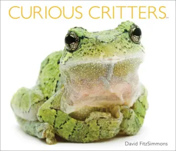 Curious Critters book cover