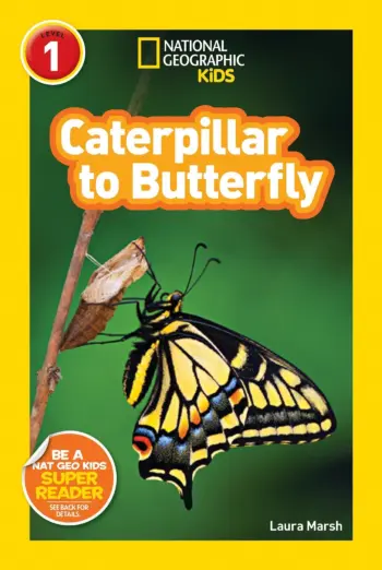 National Geographic Kids: Caterpillar to Butterfly book cover