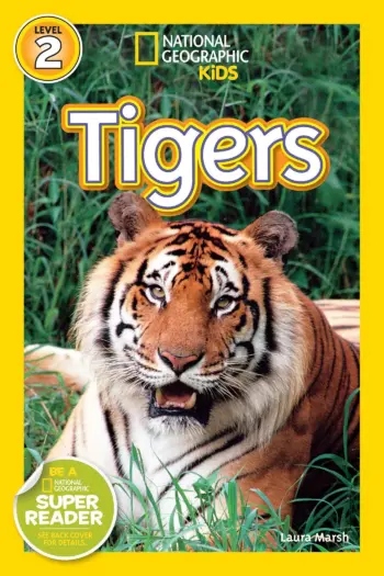 National Geographic Kids: Tigers book cover