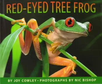 Red Eyed Tree Frog book cover