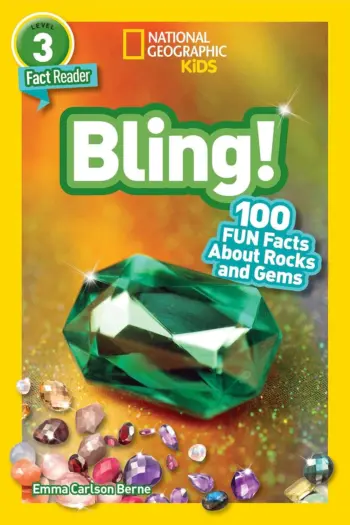Bling! book cover