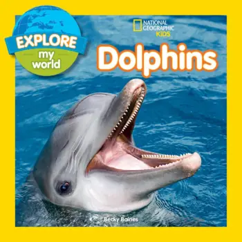 Dolphins book cover