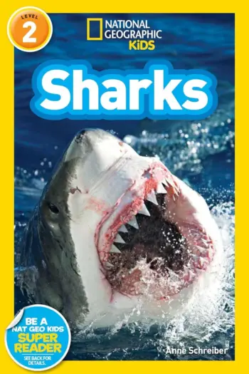 Sharks book cover