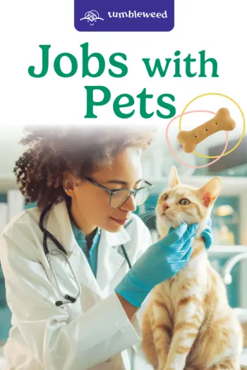 Tumbleweed Decodable Book: Jobs with Pets book cover