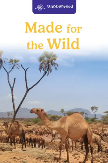Tumbleweed Decodable Book: Made for the Wild book cover
