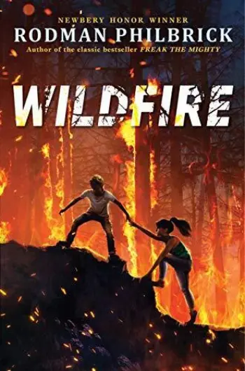 Wildfire book cover