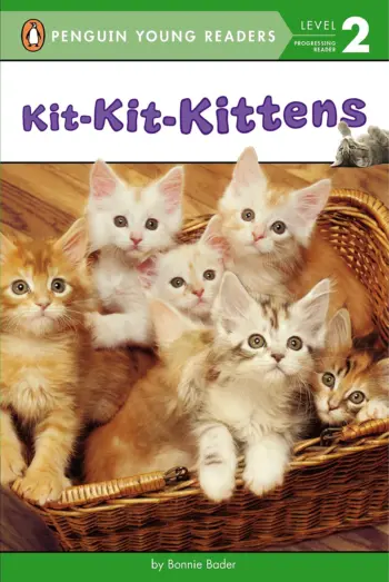 Kit-Kit-Kittens book cover