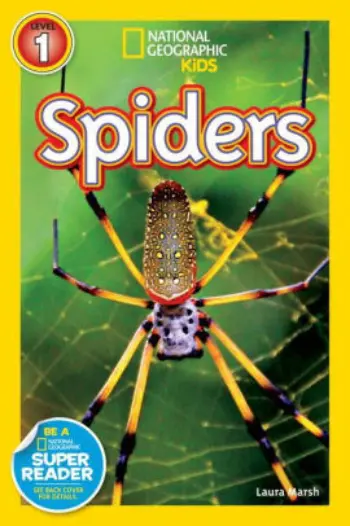 National Geographic Kids: Spiders book cover