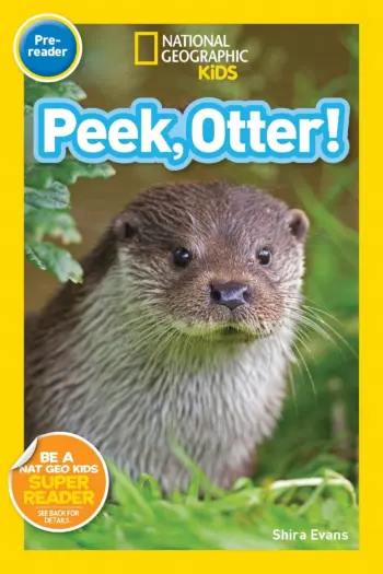 Peek, Otter! book cover