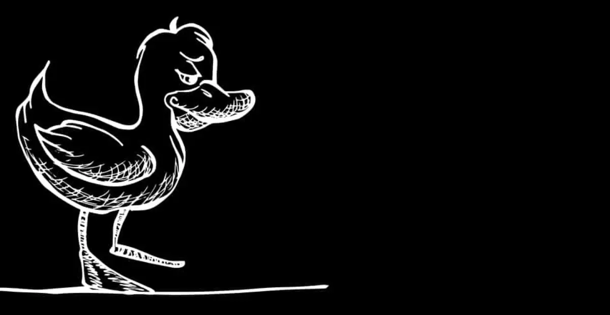 Cedo Header
