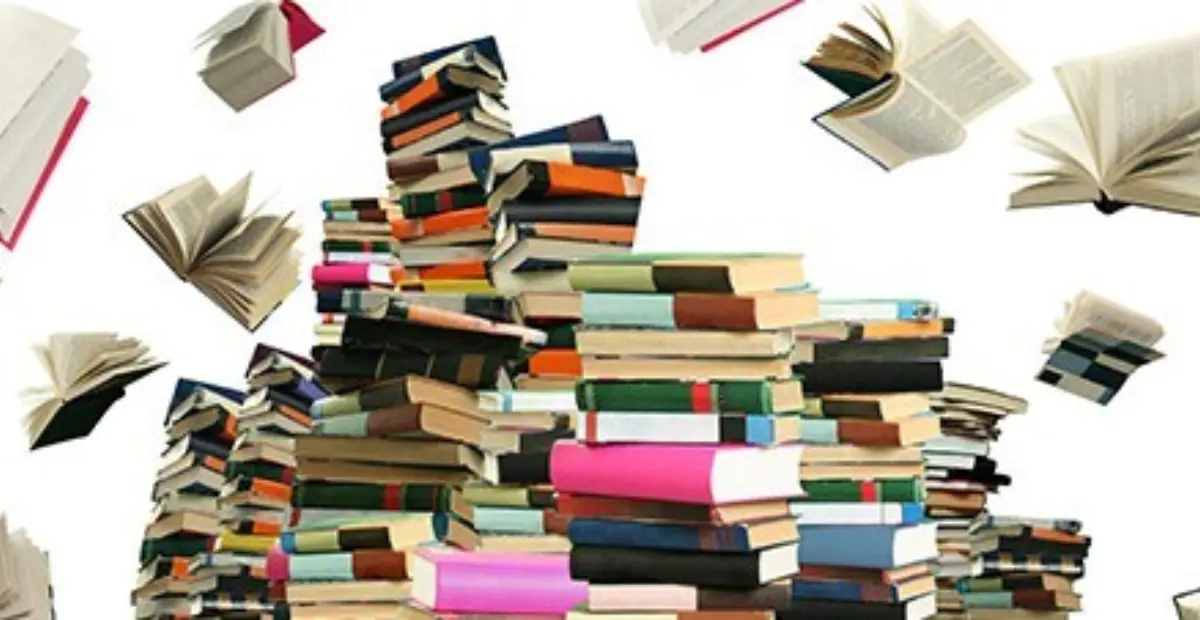 Blog Book Flood