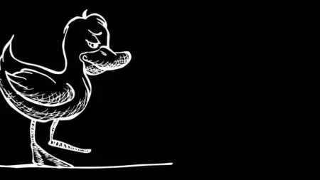 Cedo Header