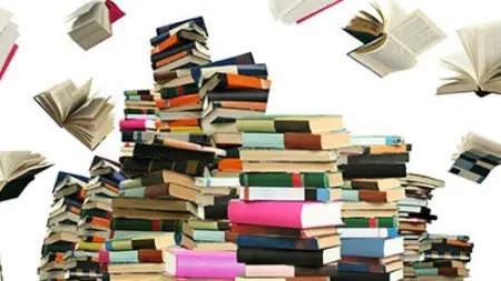 Blog Book Flood